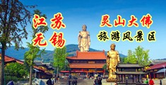 骚妇与大屌江苏无锡灵山大佛旅游风景区